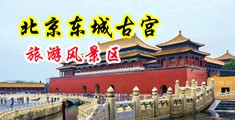 被操屄视频中国北京-东城古宫旅游风景区